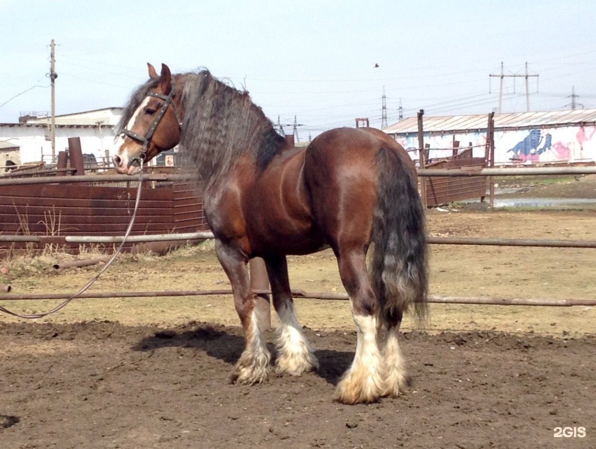 Тамбовский тяжеловоз