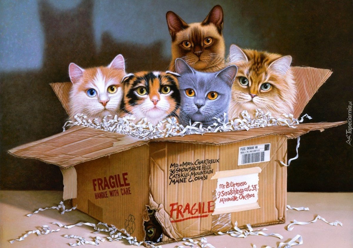 Художник Braldt Bralds