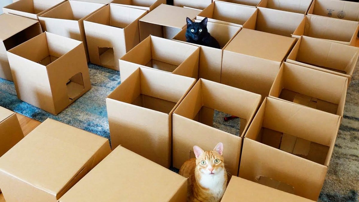 Лабиринт "кошка"