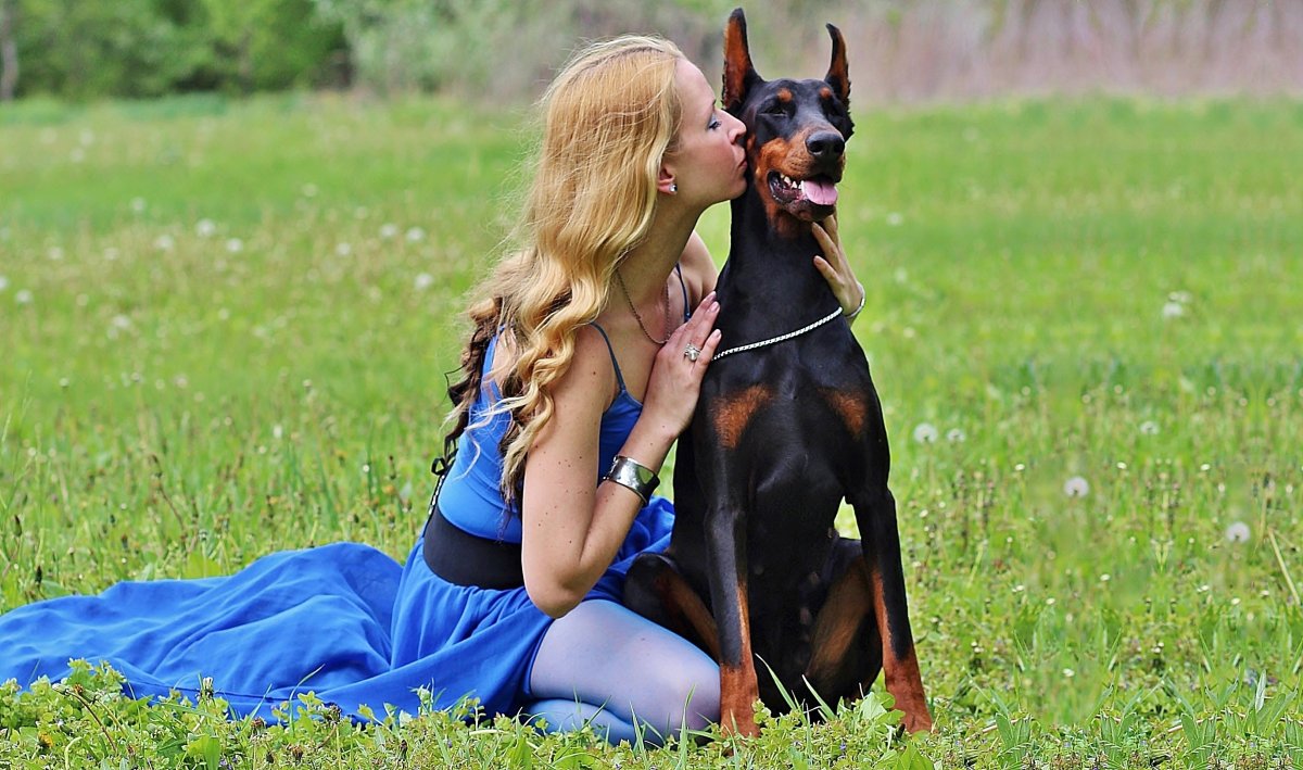 Доберман Глюкозы Дюк