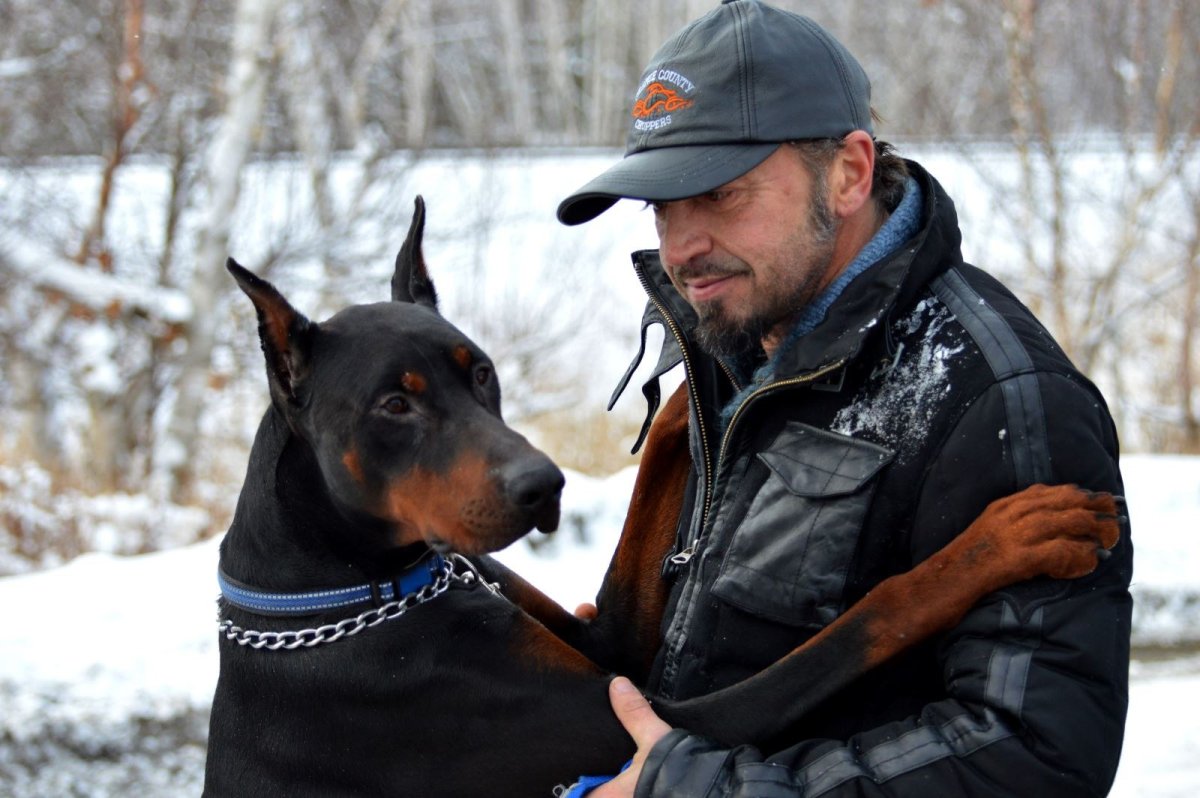 Доберман фильм 1997 пёс