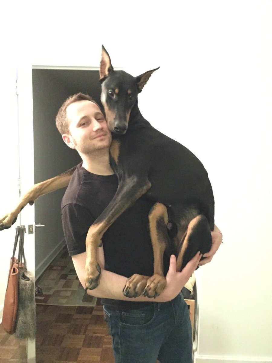 Доберман рэпер