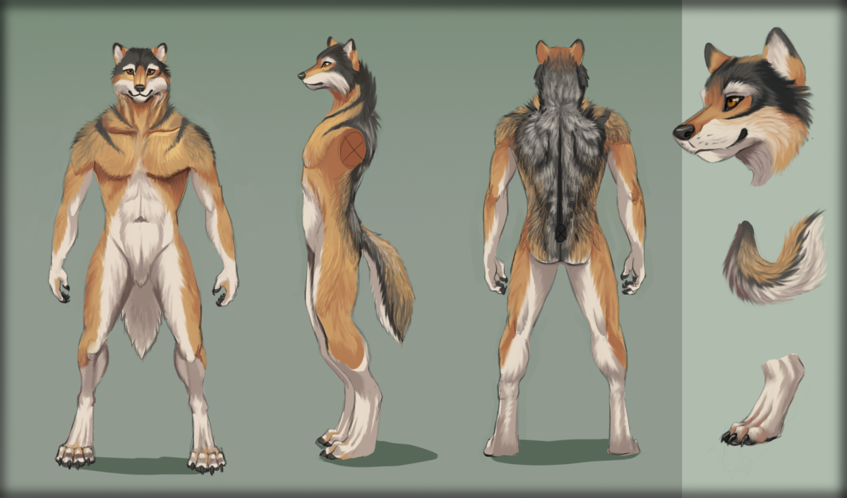 Анатомия ФУРСОНЫ