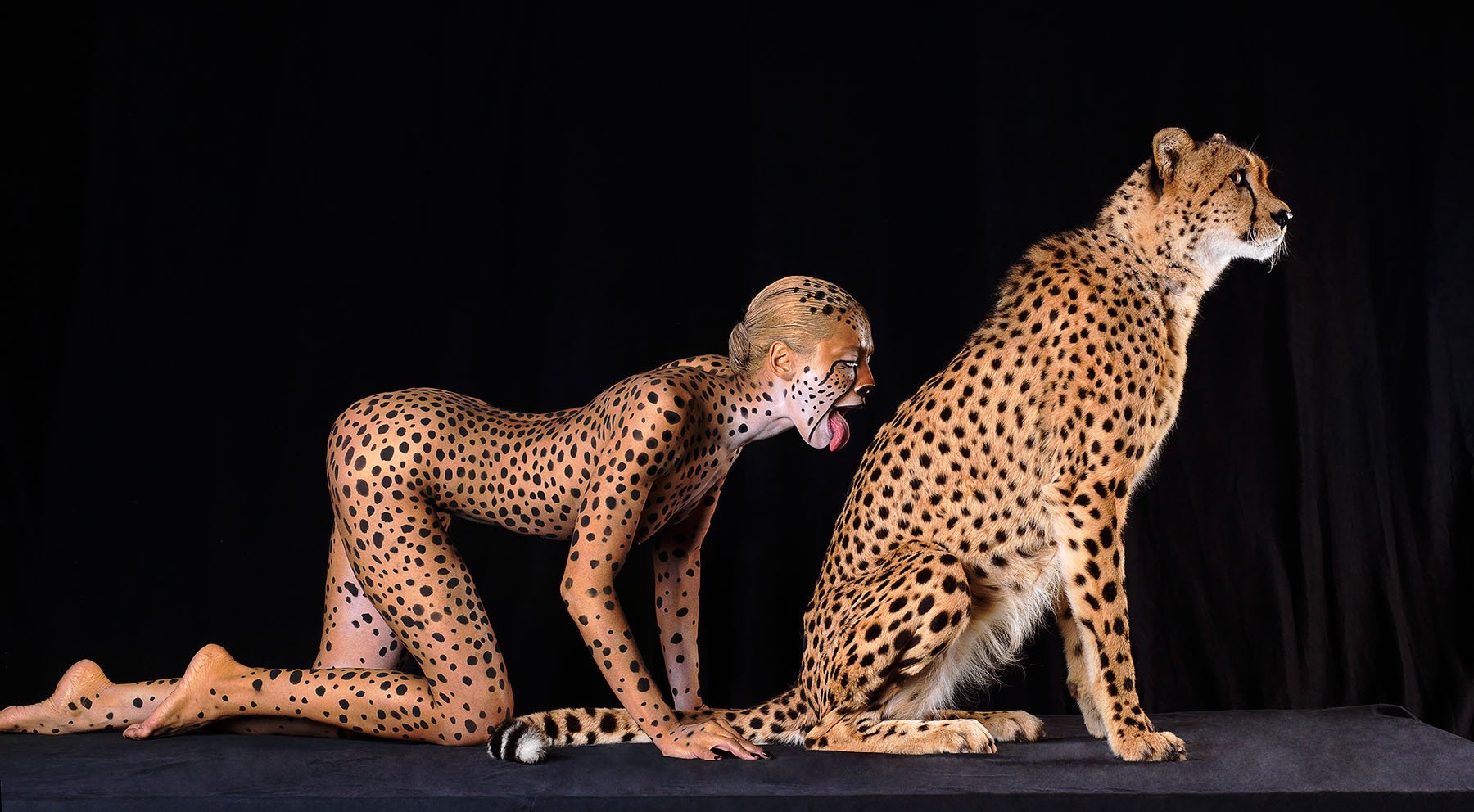 Самка гоняет самца. Гепард леопард Ягуар. Гепард самка. Гепард леопард Ягуар Пума. Животные инстинкты.