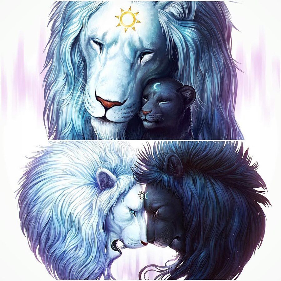 Волк и львица