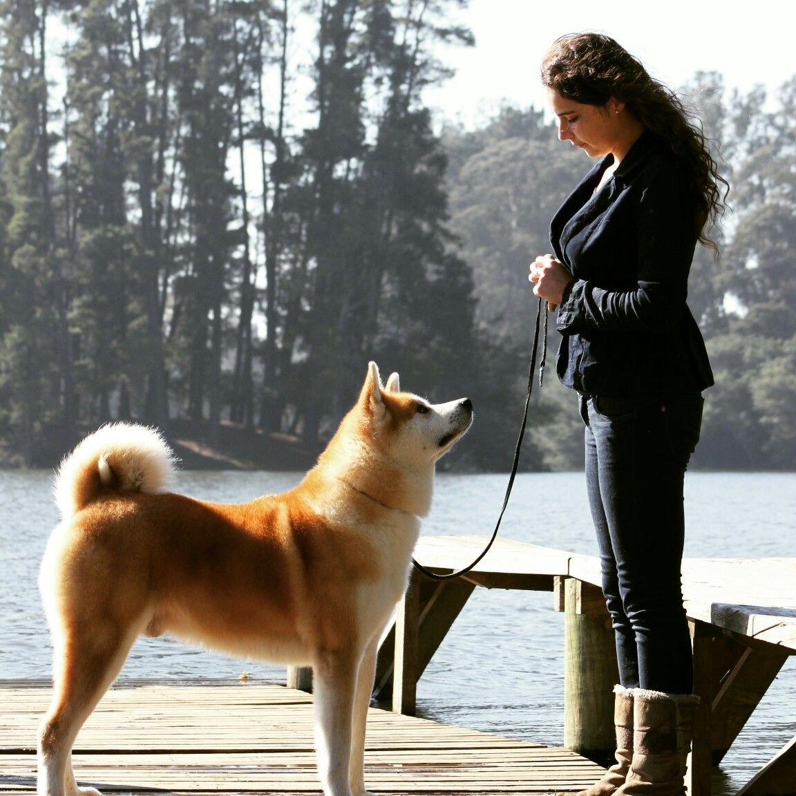 Акита Матаги