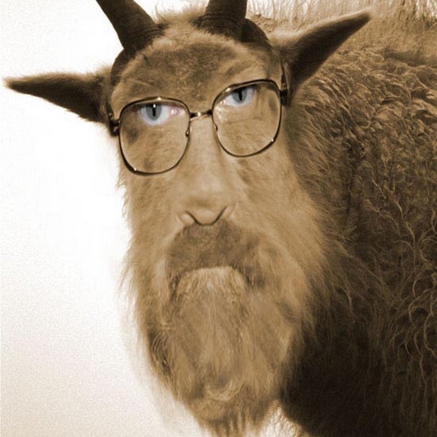 Старый козел