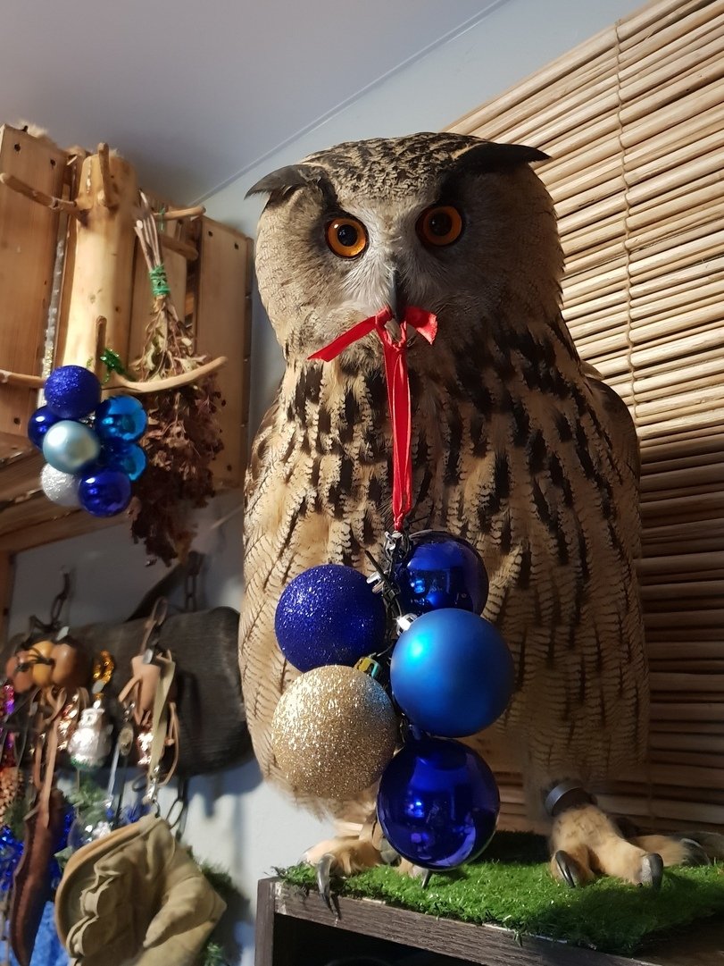 Сова Филин ёль