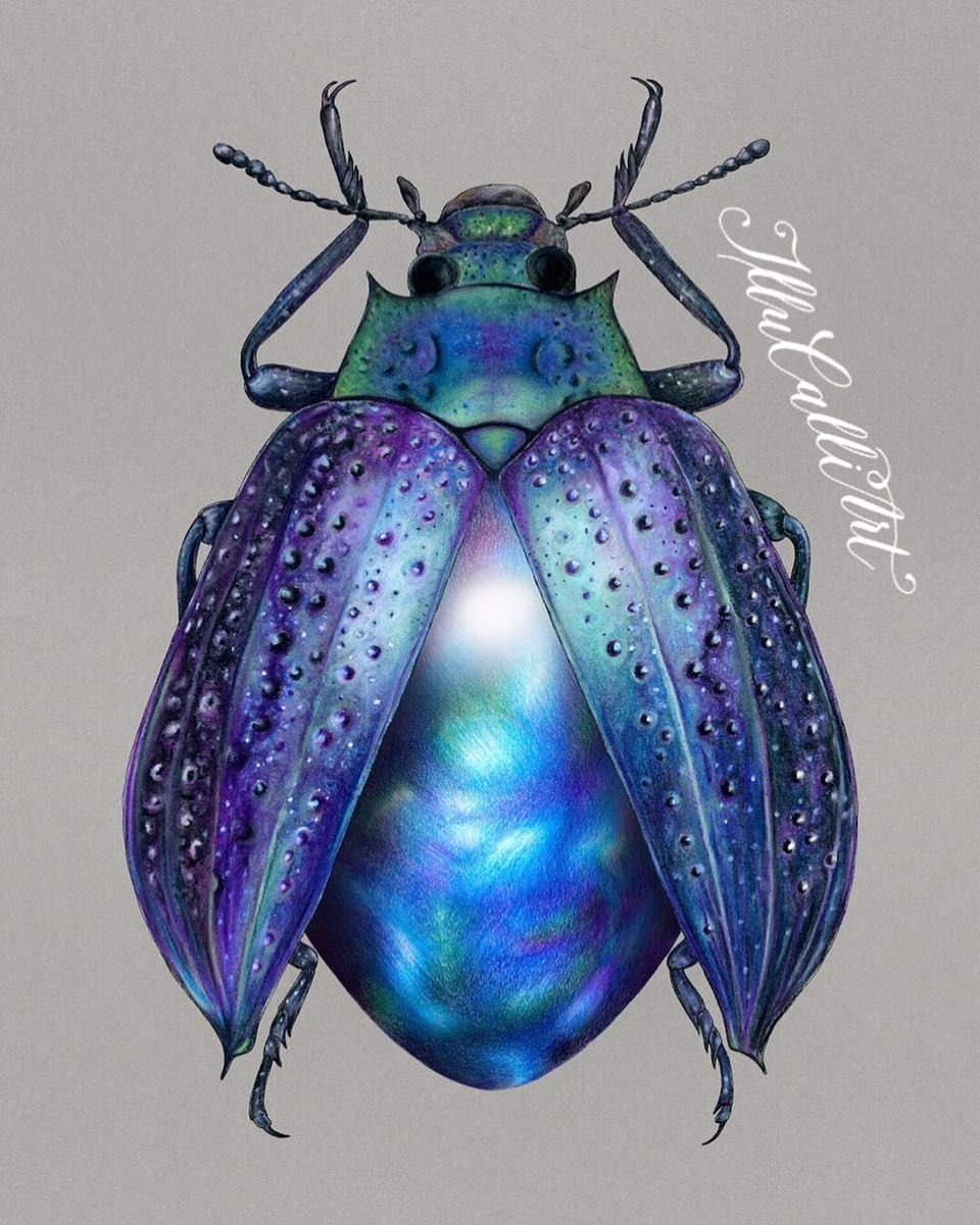 Красивые жуки с крыльями