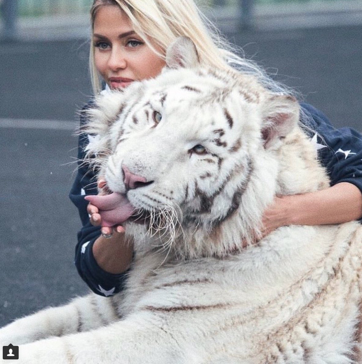 Девушка и белый тигр