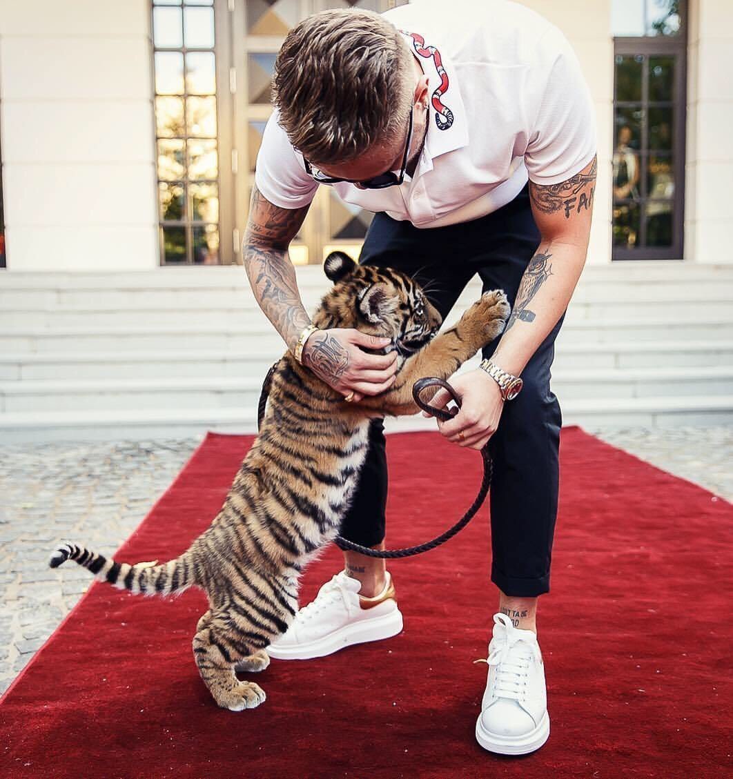 Егор Крид с тигренком