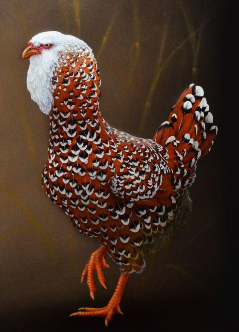 Падуан Шамоа