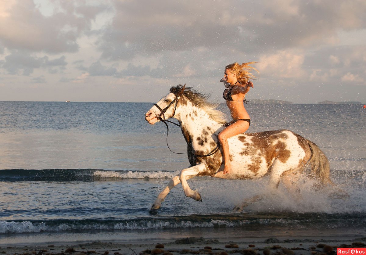 Девушка конь море