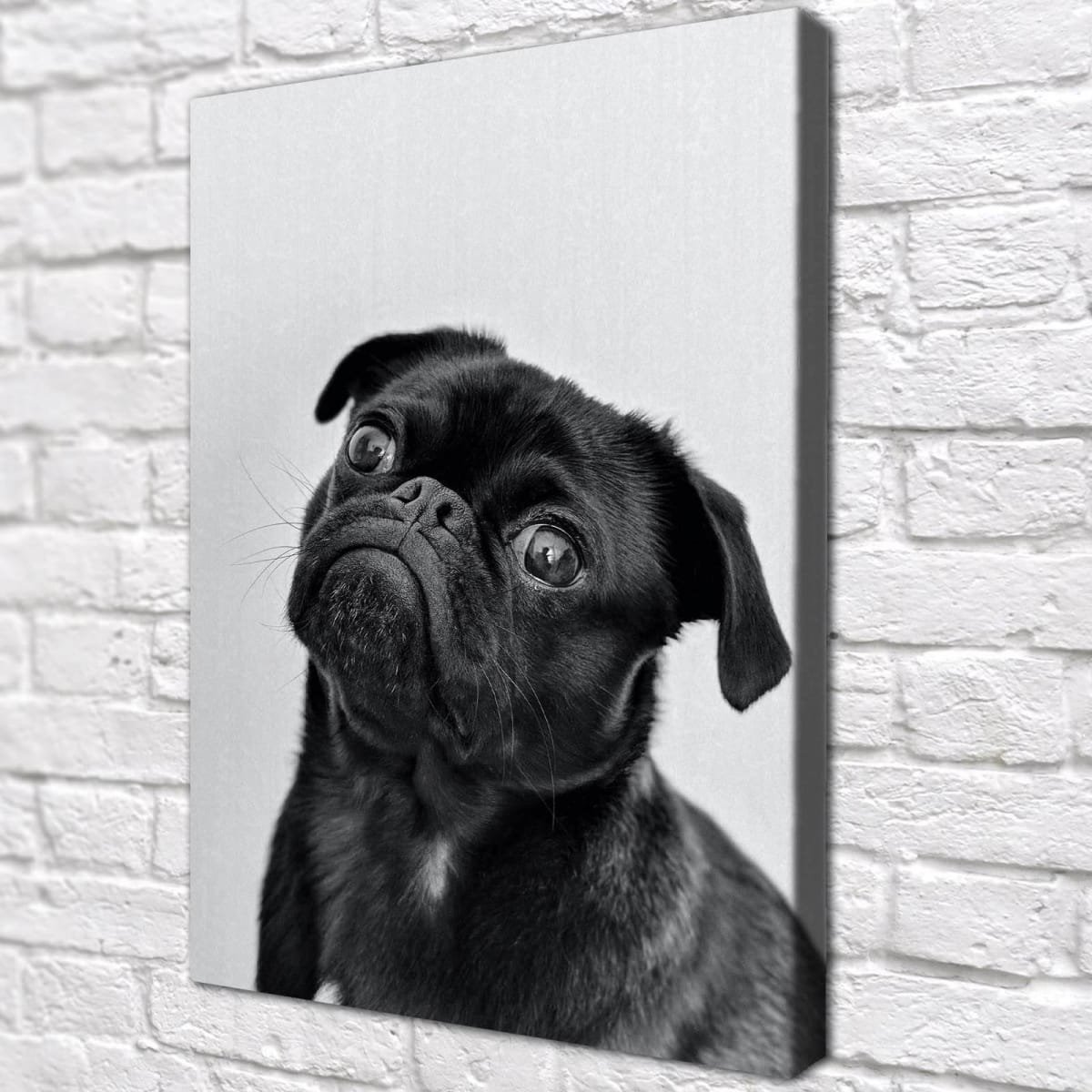 Картина по номерам Мопс черный