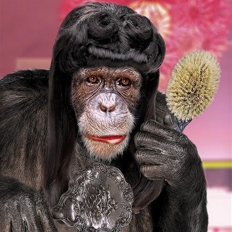 Обезьяна в парике