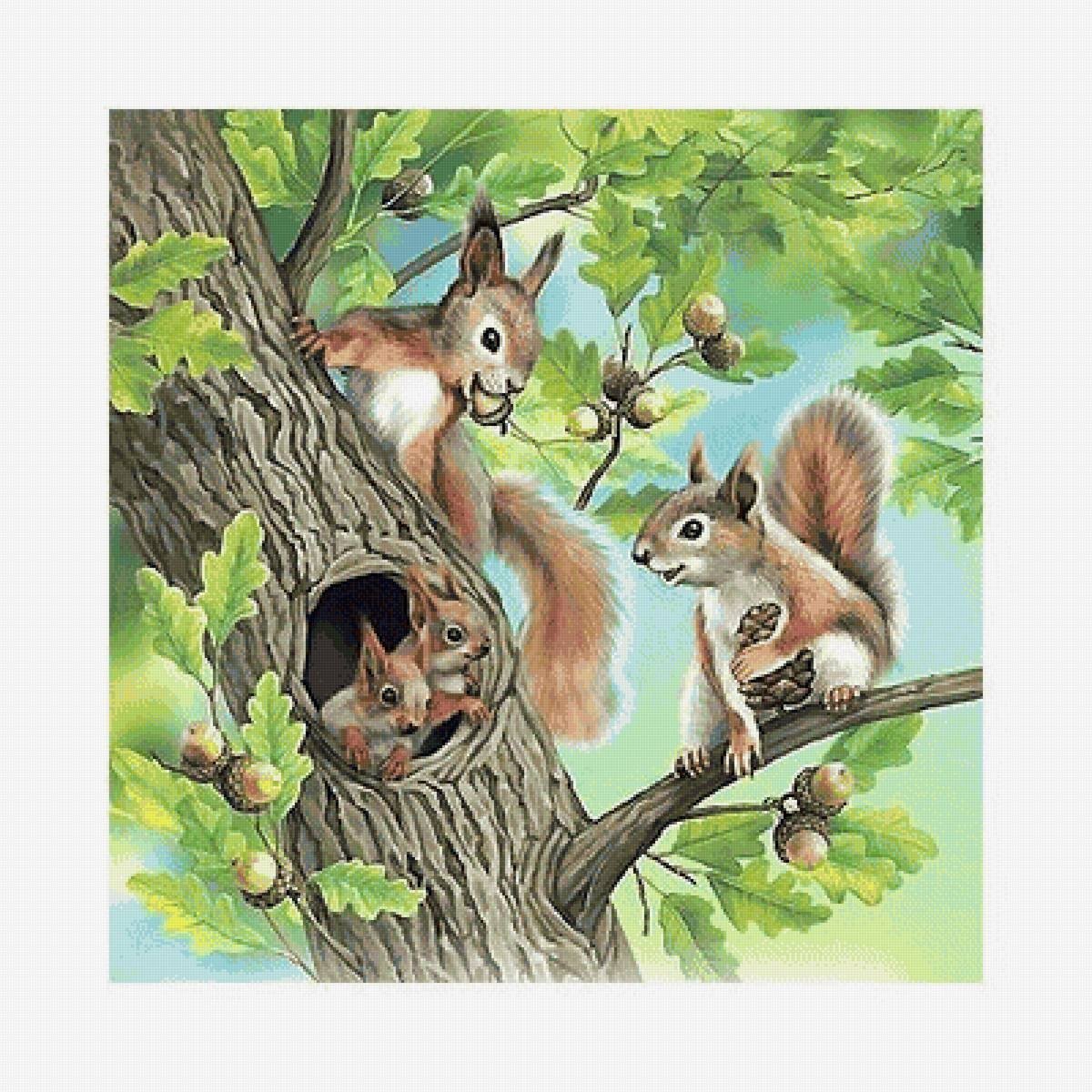 Белки для детей