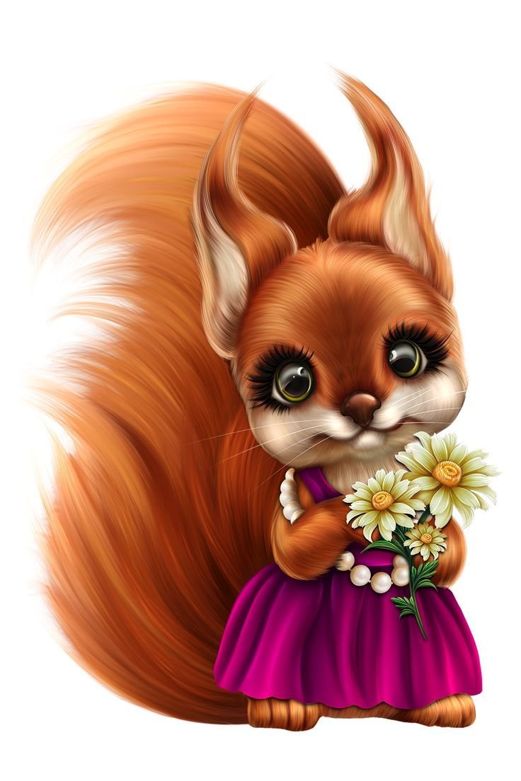 Белочка на прозрачном фоне