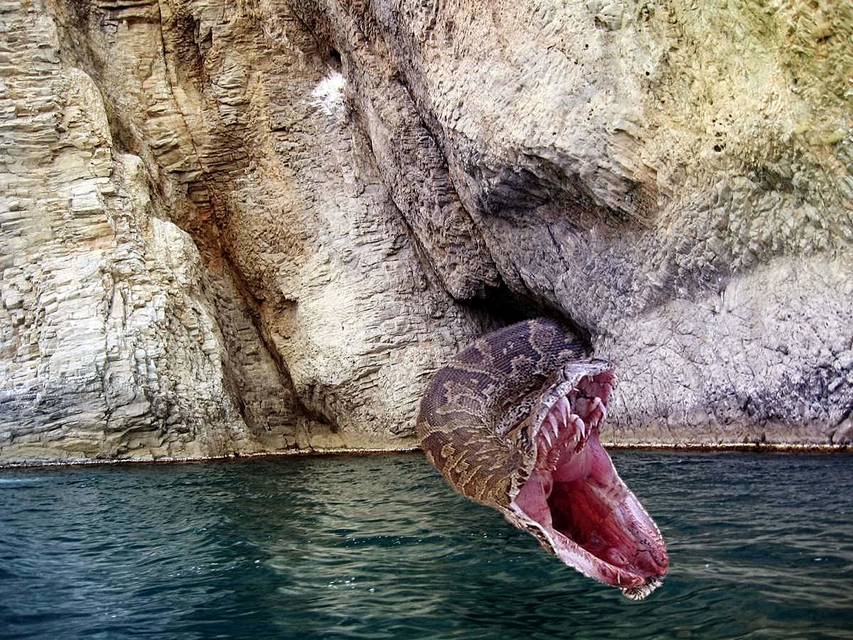 Карадагское чудовище в Крыму Карадагский змей монстр