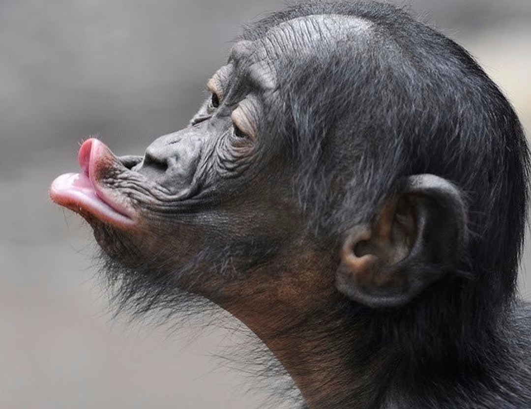 29 Лет прикол