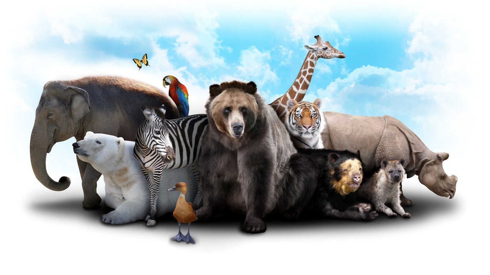 Диалоги о животных зоопарки. Много животных. Множество животных. Животные вместе. Много животных на одной картинке.