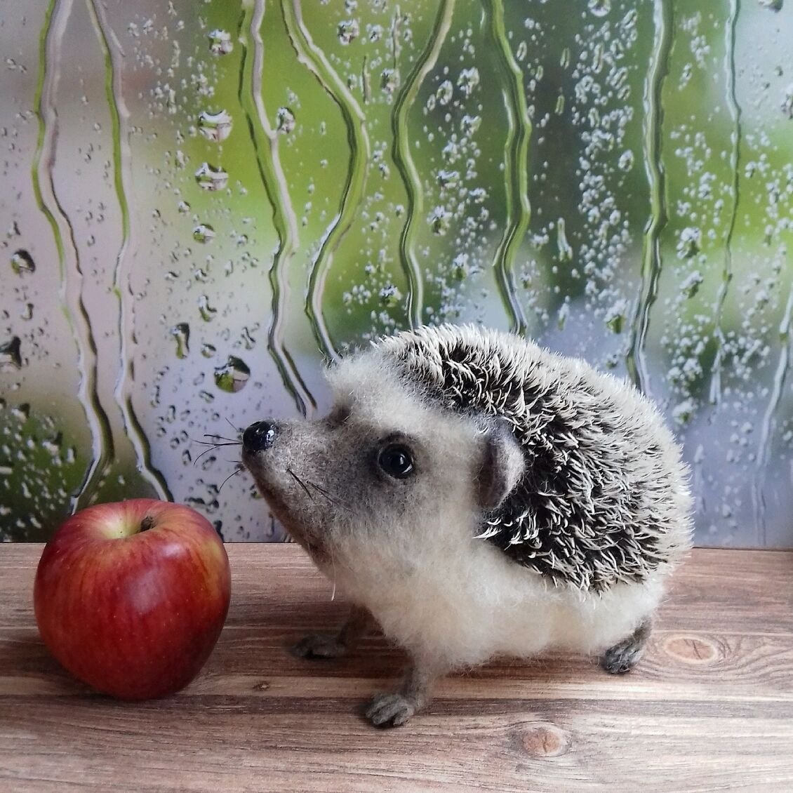 Ёжик Серёжик валяный