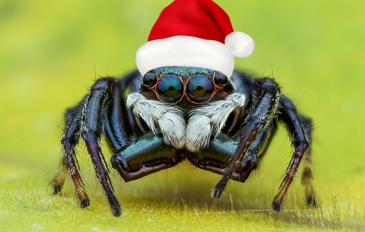 Новогодний паучок