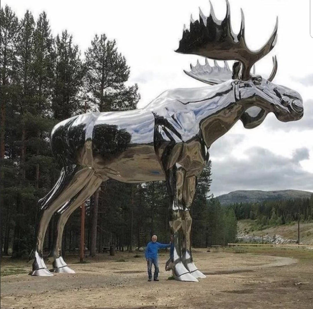 Самый большой в мире ллсь