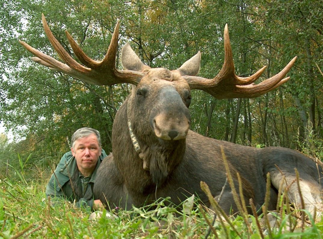 Сумароковская лосеферма
