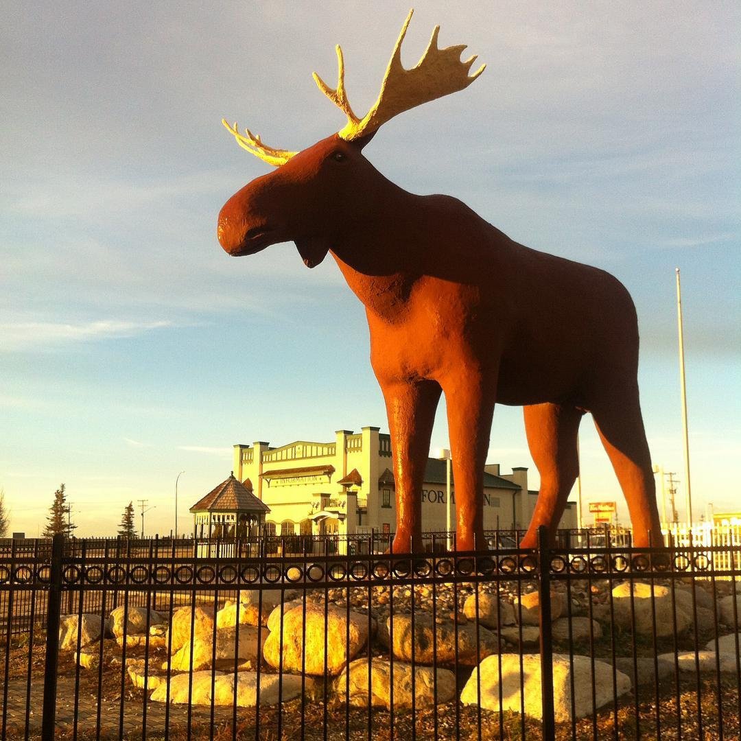 Статуя лося в Канаде