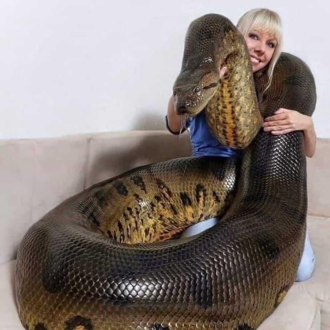 Анаконда и девушка из Австралии