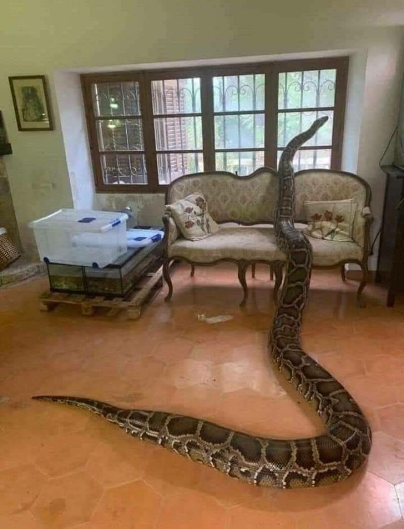 Когда дома хорошо