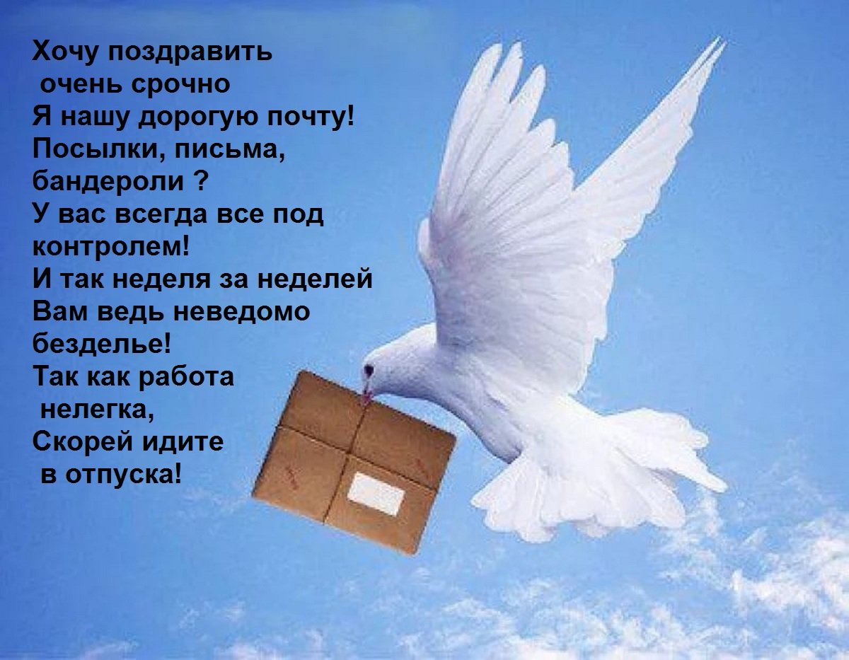 Голубь с письмом