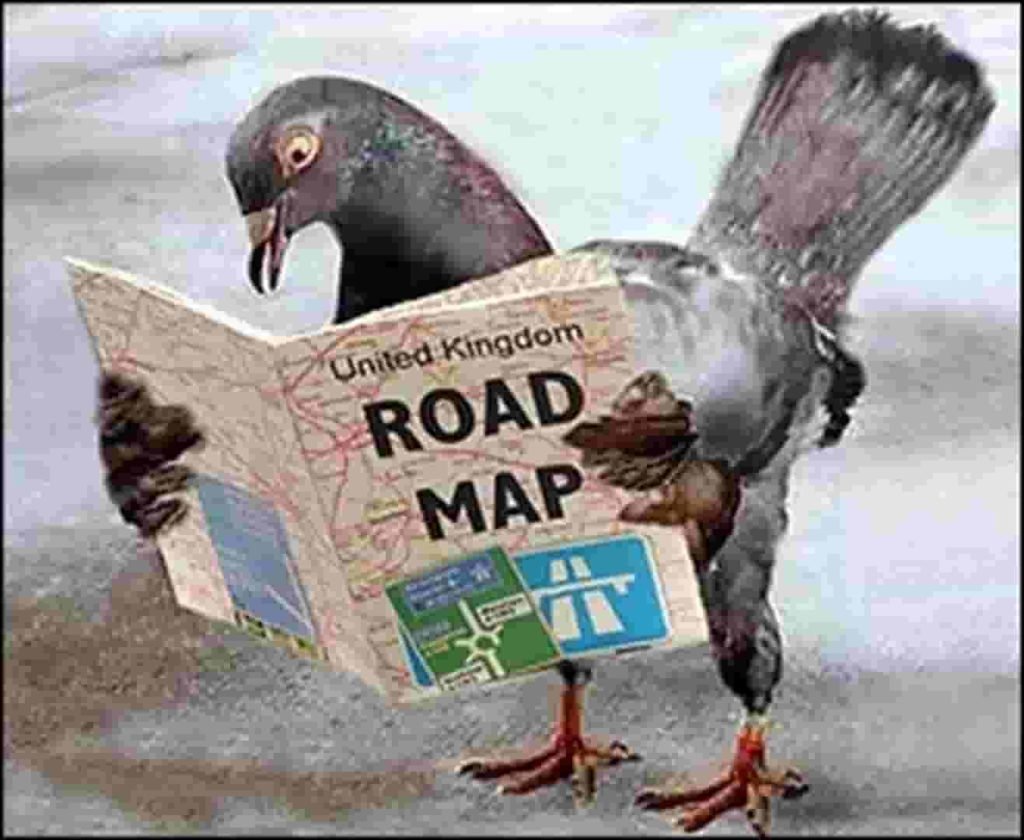 Голубь с чемоданом