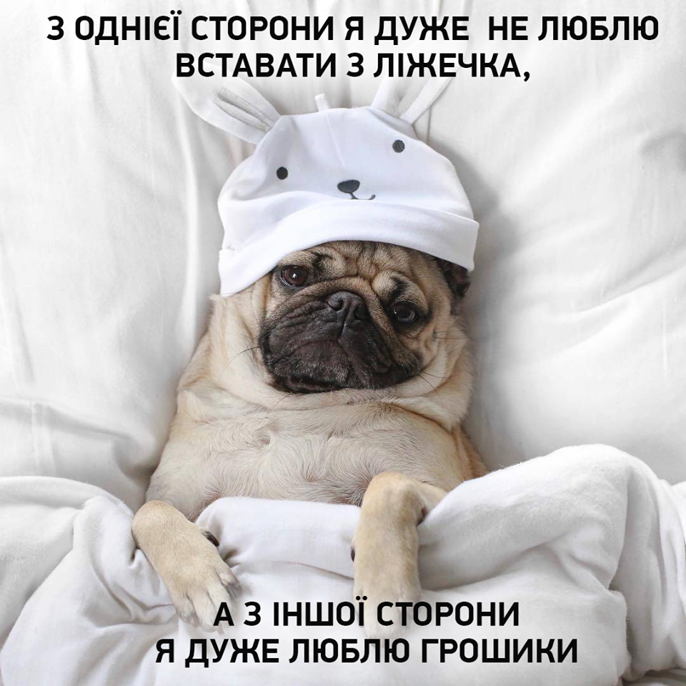 Спокойной ночи Мопс