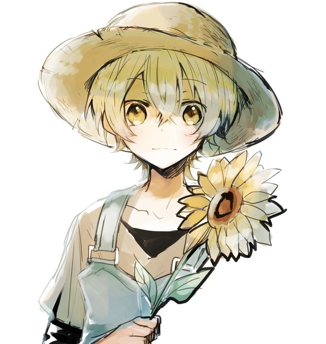 Кенджи Миядзава БСД