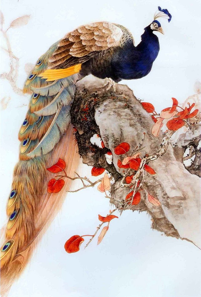 Японская живопись картины Павлин