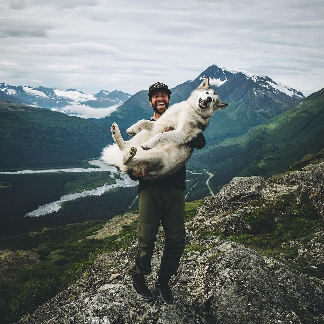 Локи собака