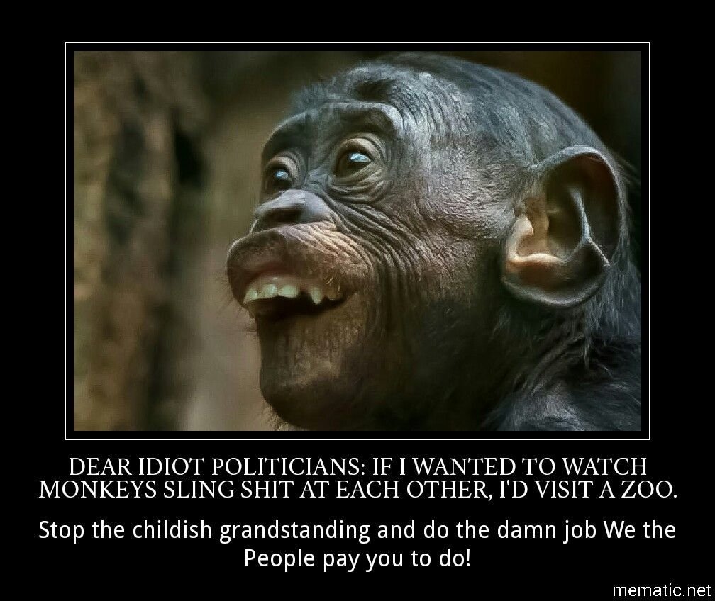 Смешные обезьяны