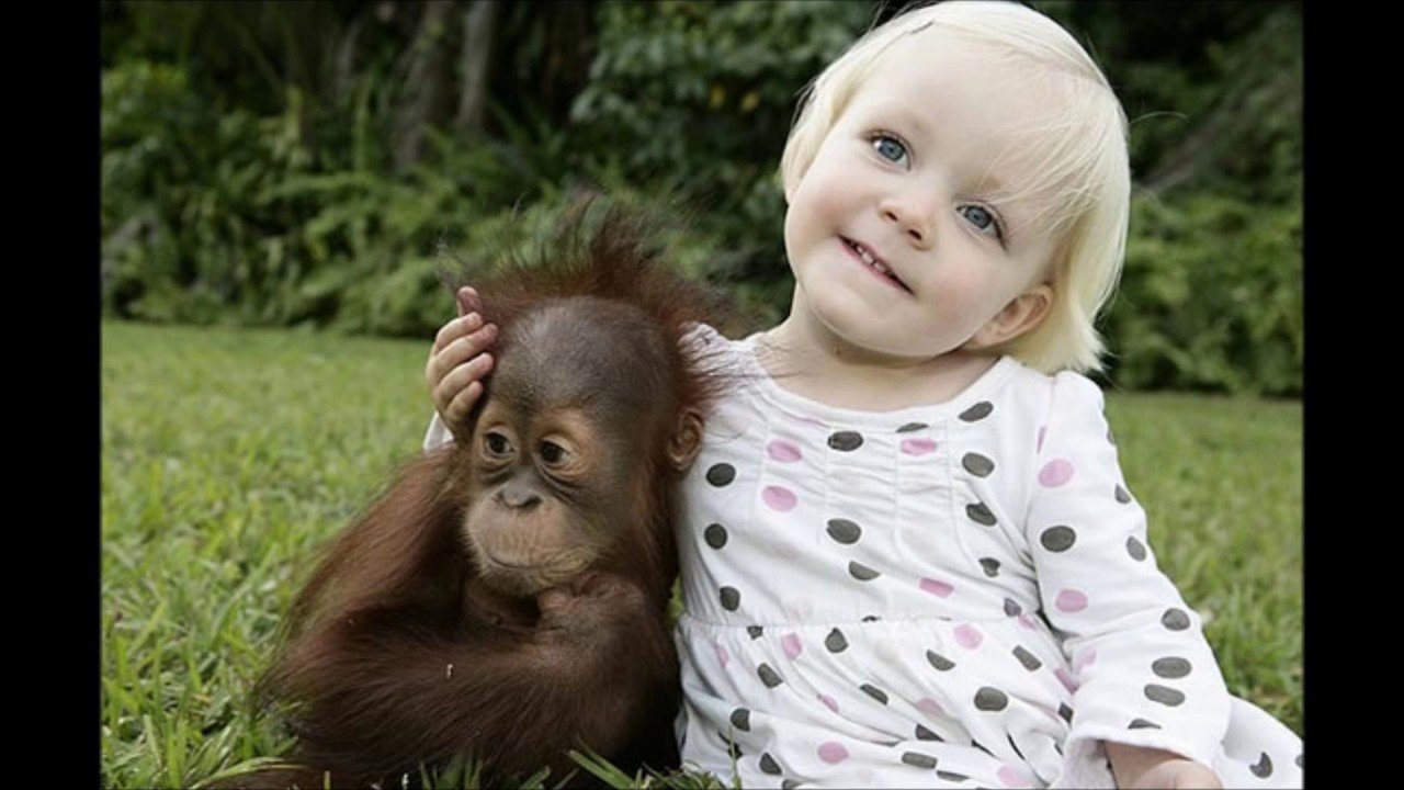Шимпанзе девушку. Обезьяна для детей. Обезьяна девочка. Обезьянка с детьми. Ребенок шимпанзе.