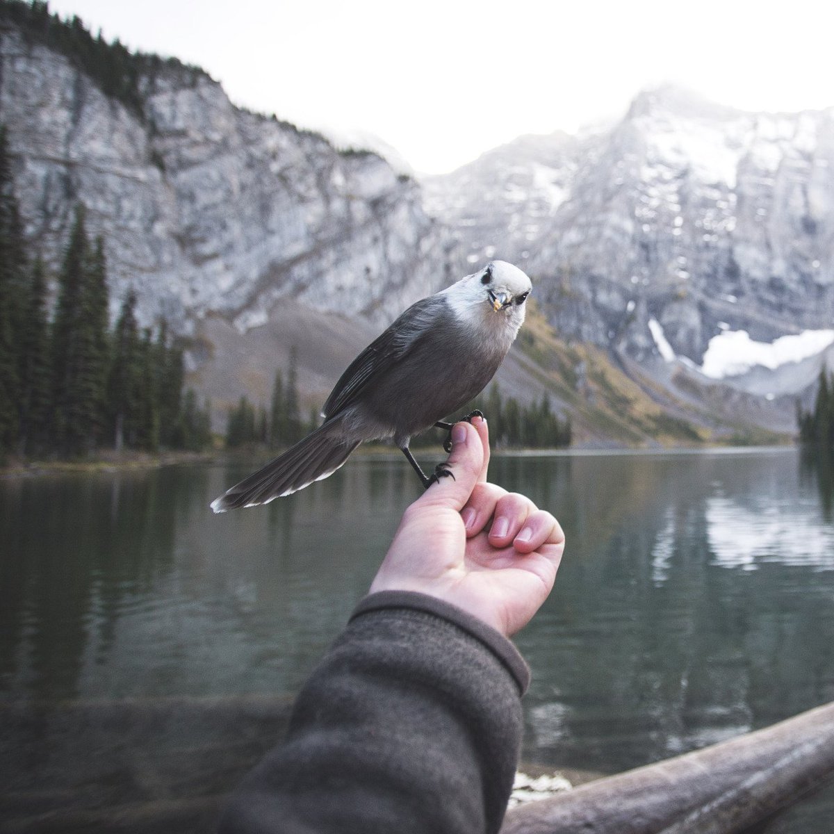 Севара Хамракулова