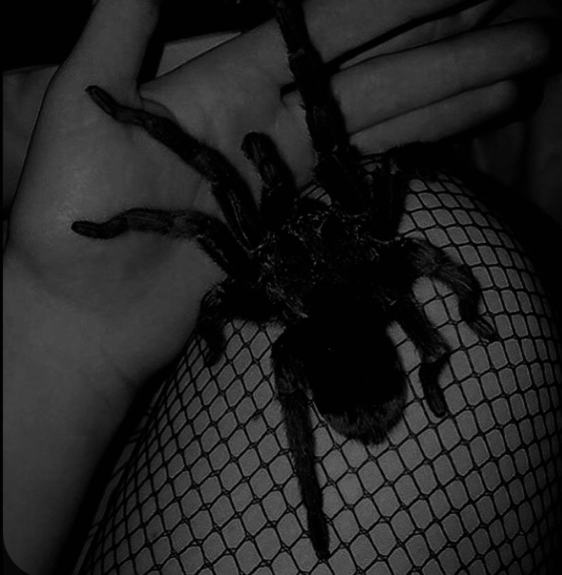 Девушка с тарантулом