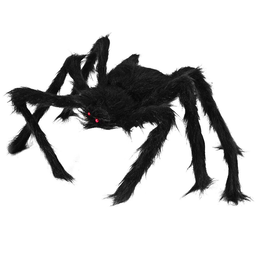 Черный лохматый паук