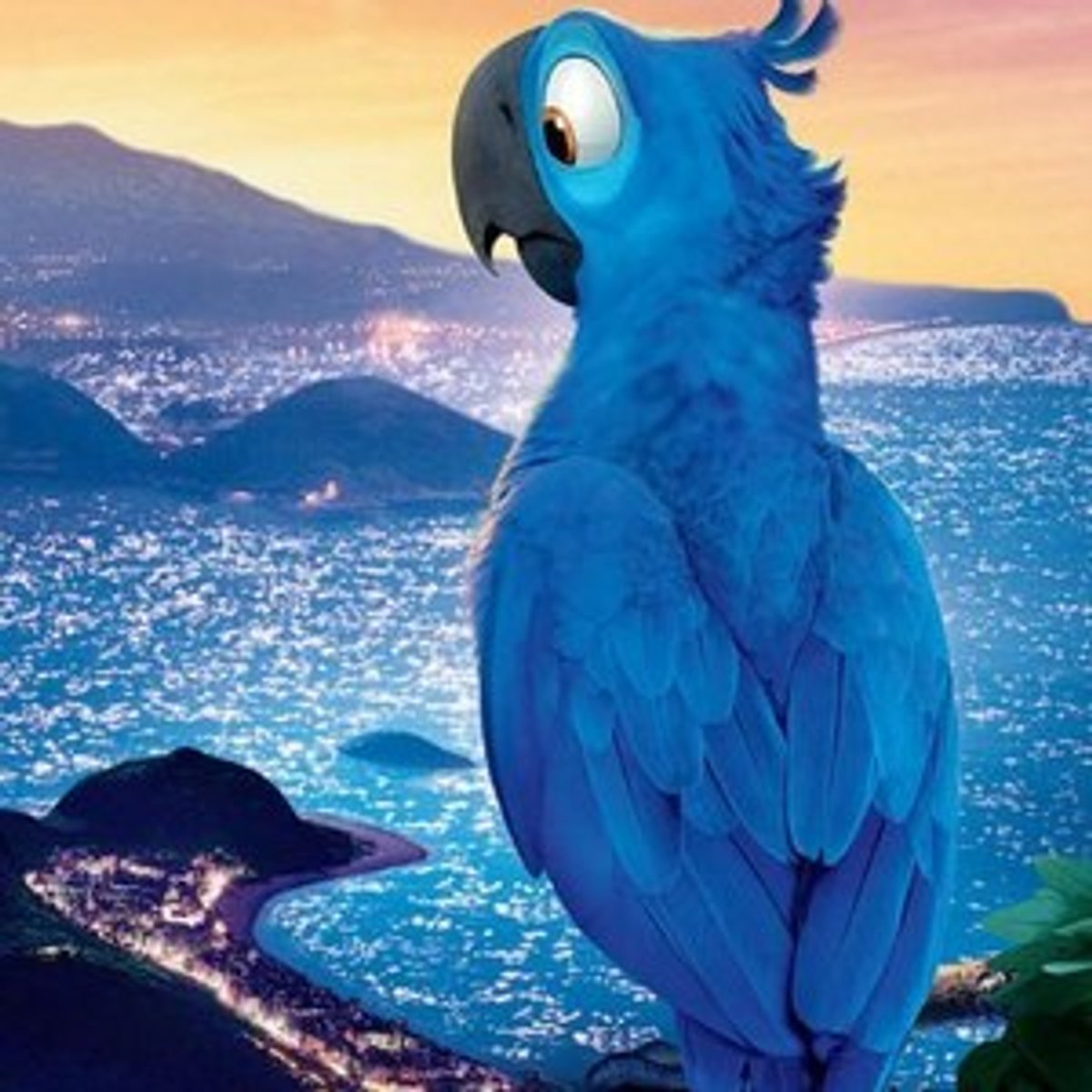 Rio попугаи