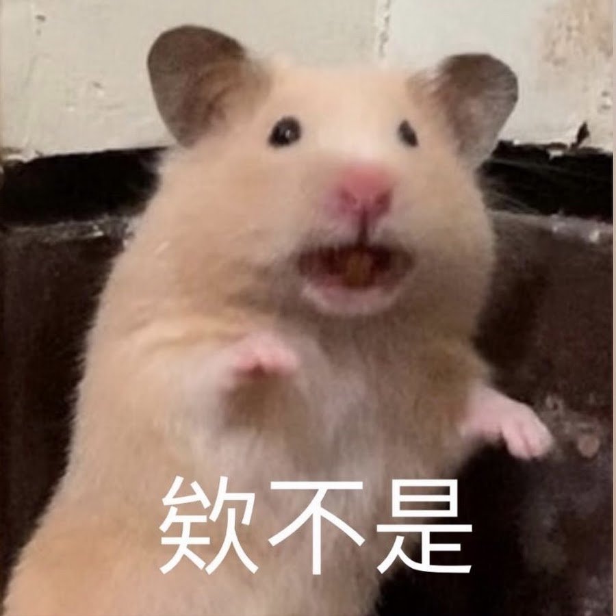 Хомяк испугался