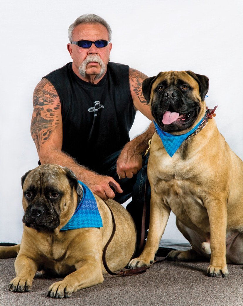 Самый большой бульдог