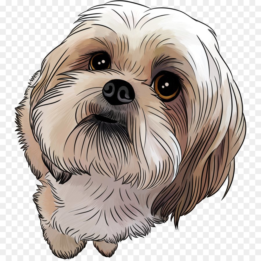 Ши тцу вектор