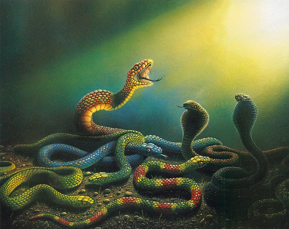 Змея картина