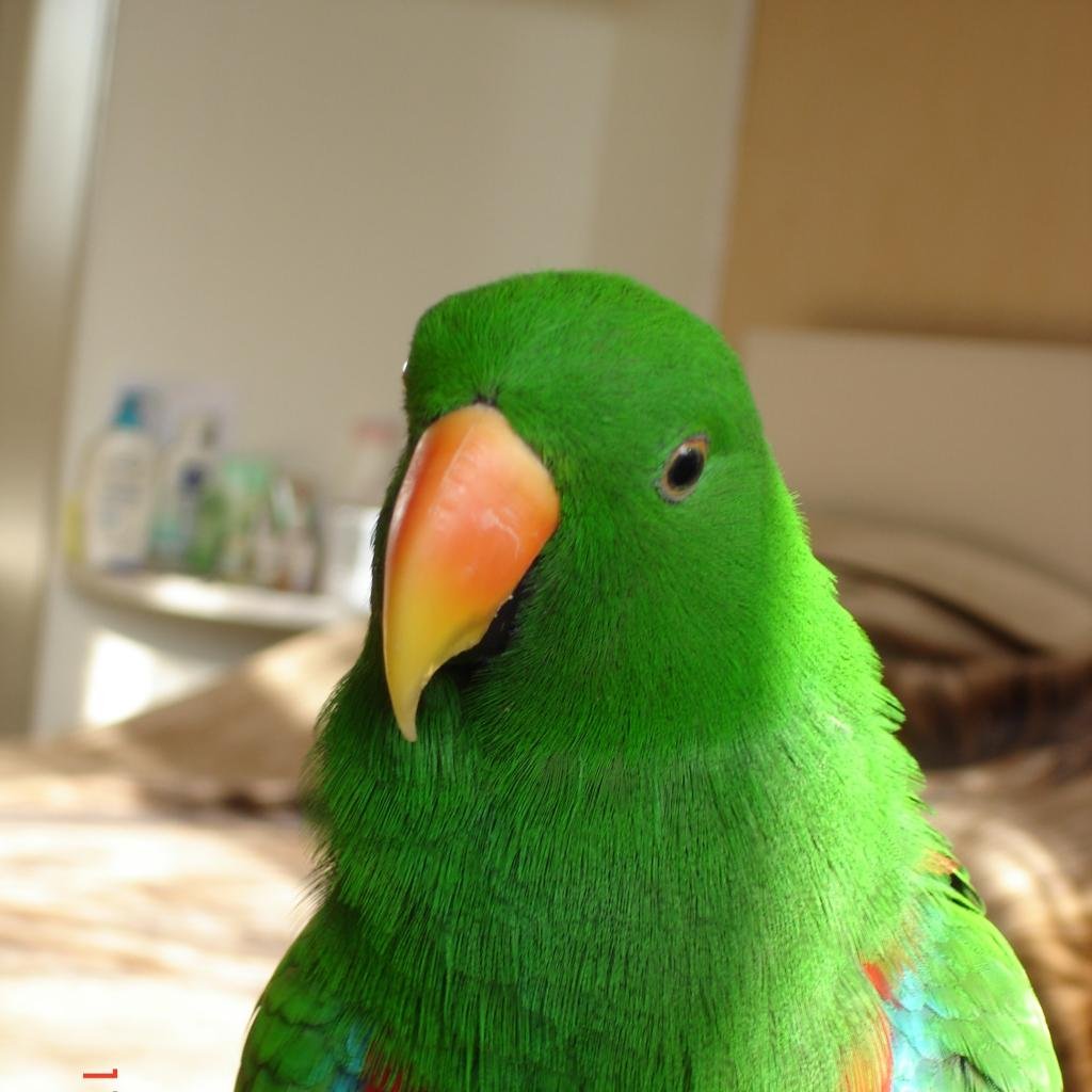 Зеленые говорящие попугаи