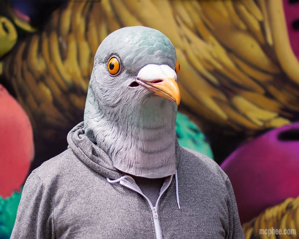 Маска голова голубя