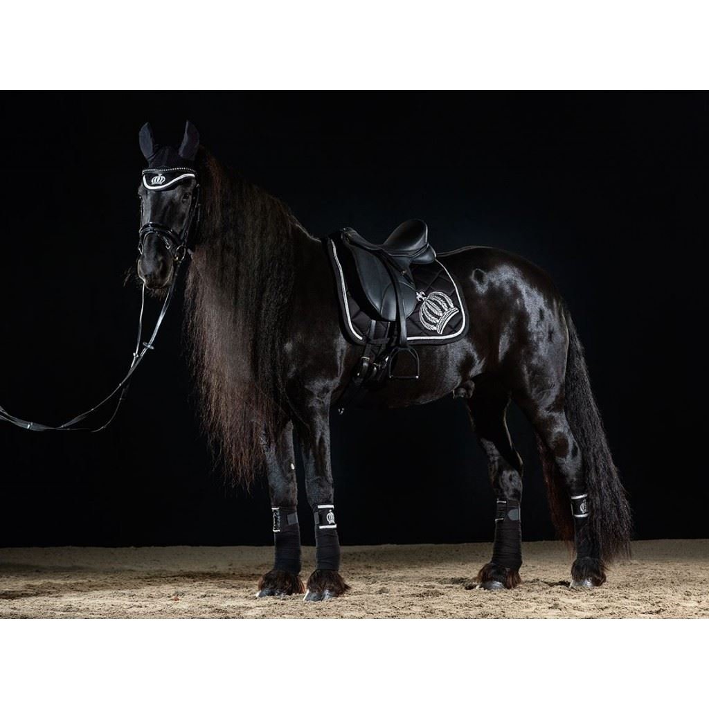 Фризская лошадь в упряжи